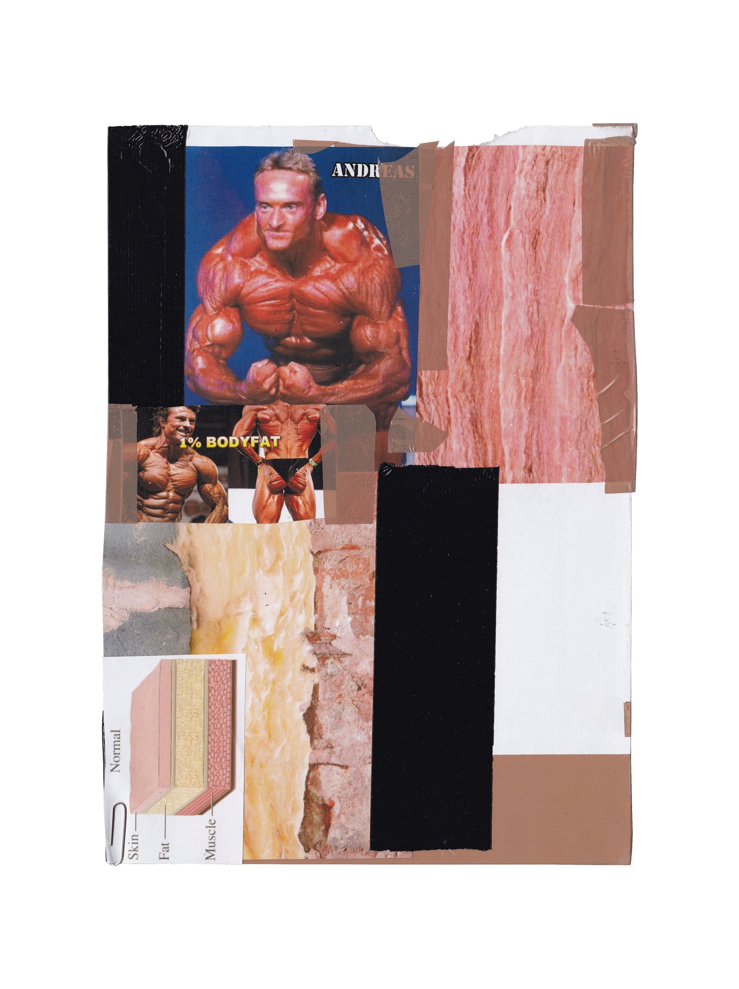 F.O.A.M.: Collages