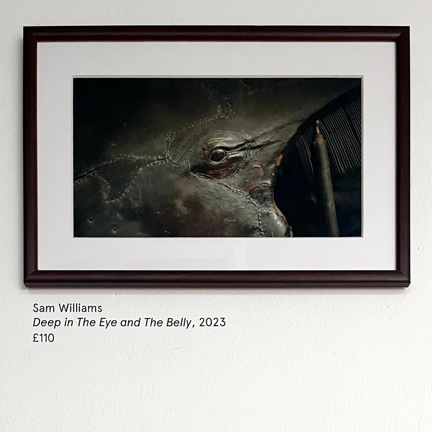 Sam Williams: Deep in The Eye and The Belly