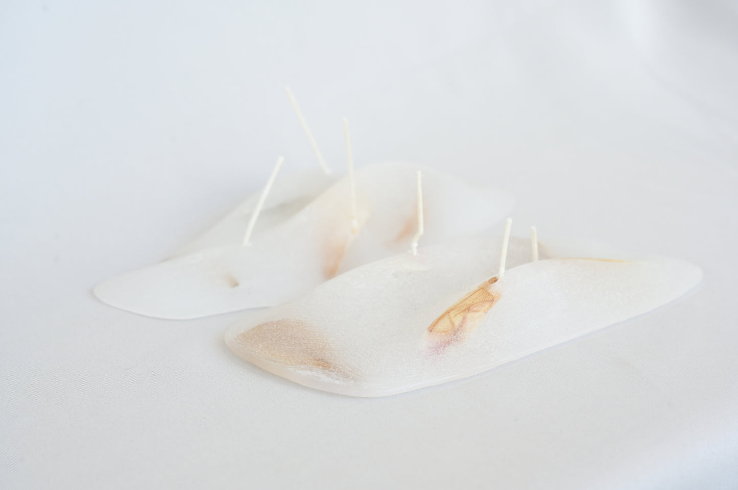 Maria Saeki: Memoriam fika