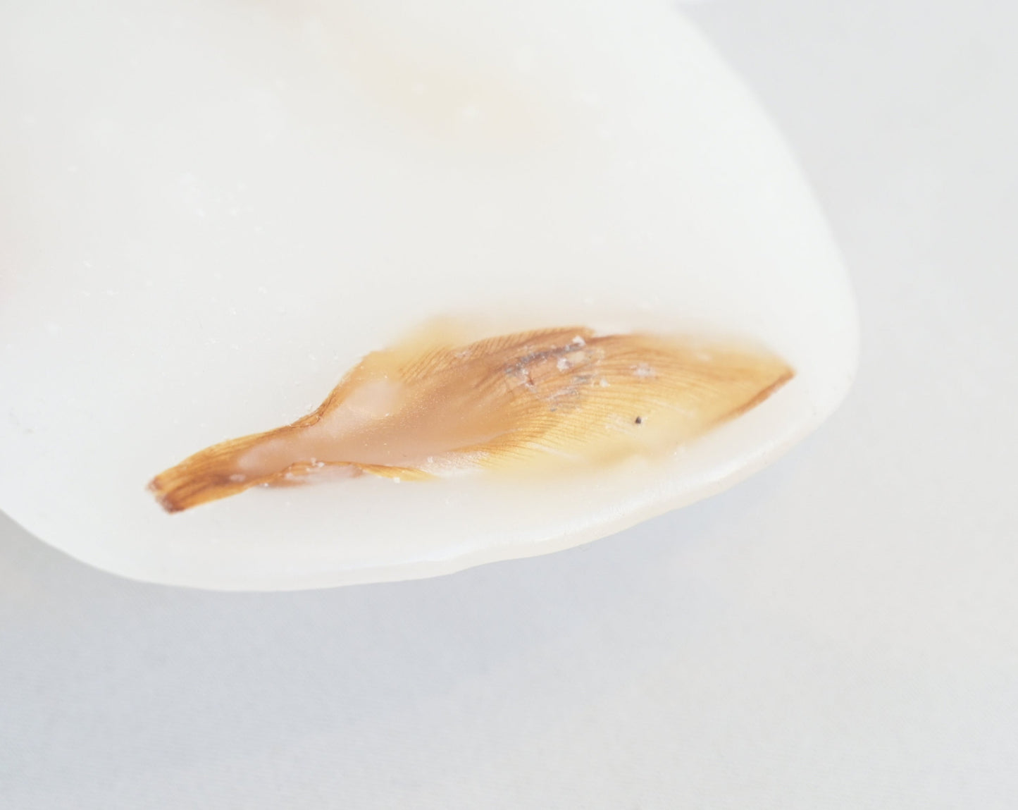 Maria Saeki: Memoriam fika