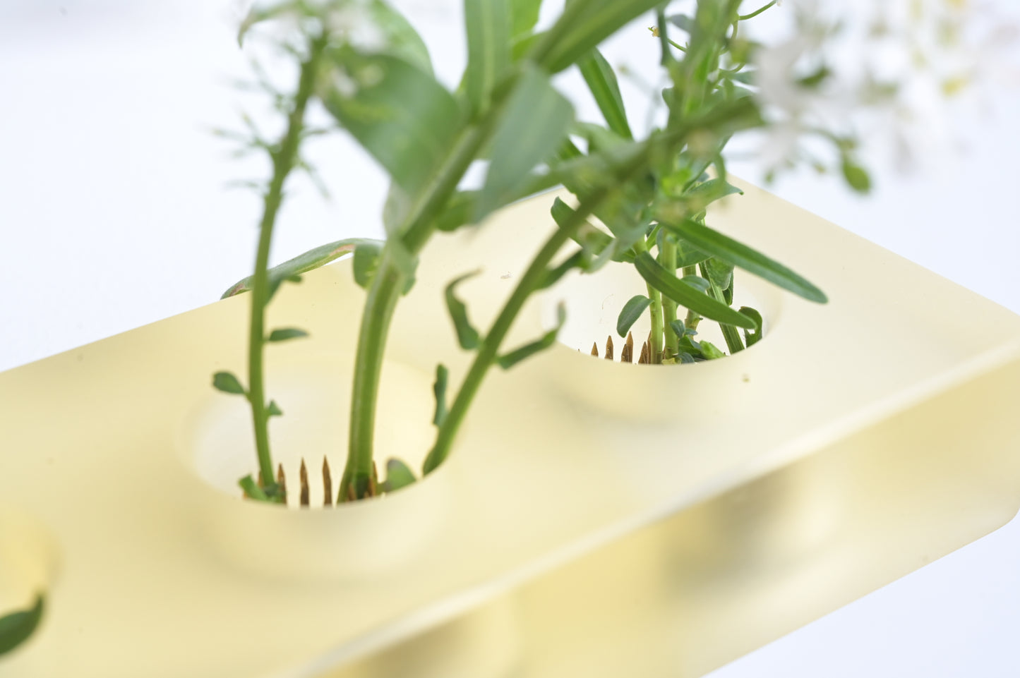 Moss duo: Resin flower arrangement base