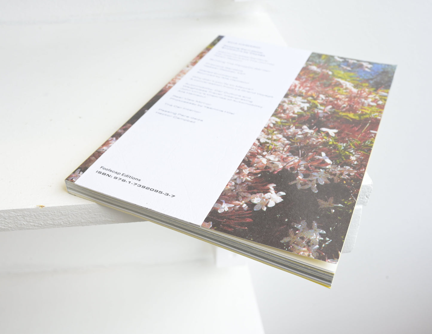 Alia Hamaoui: Passing Pari-daiza