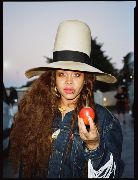 Rémy Bourdeau: Erykah Badu