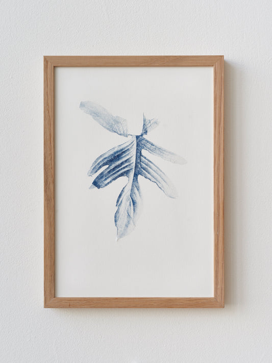 Matthew Beach: Propagations